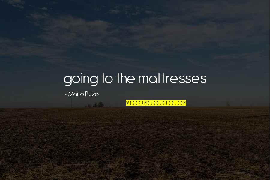 Concentracion De Las Soluciones Quotes By Mario Puzo: going to the mattresses