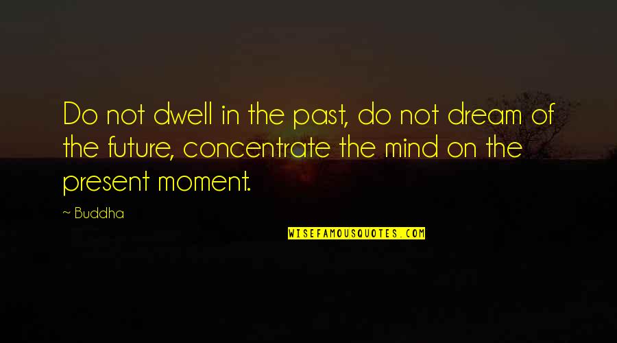 Concentrate On Future Quotes By Buddha: Do not dwell in the past, do not