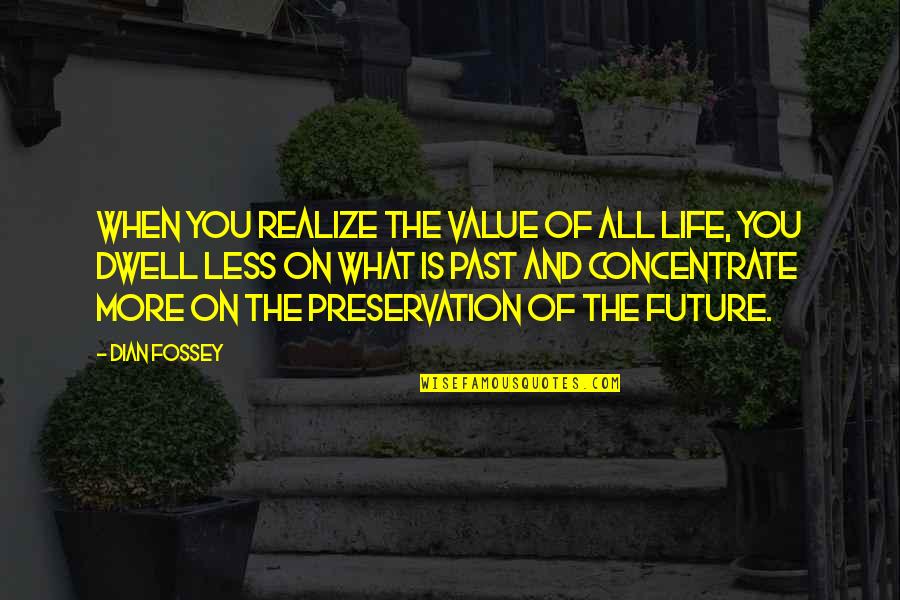 Concentrate On Future Quotes By Dian Fossey: When you realize the value of all life,
