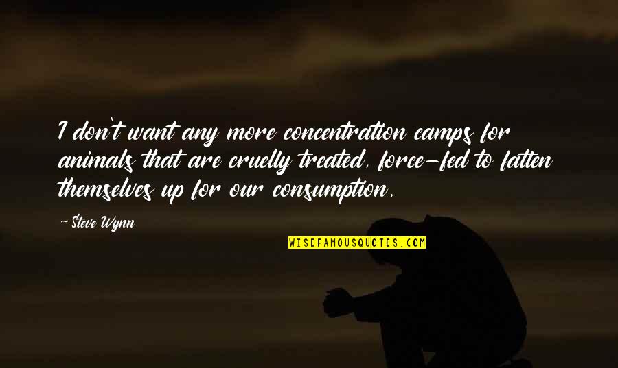 Concentration Camps Quotes By Steve Wynn: I don't want any more concentration camps for