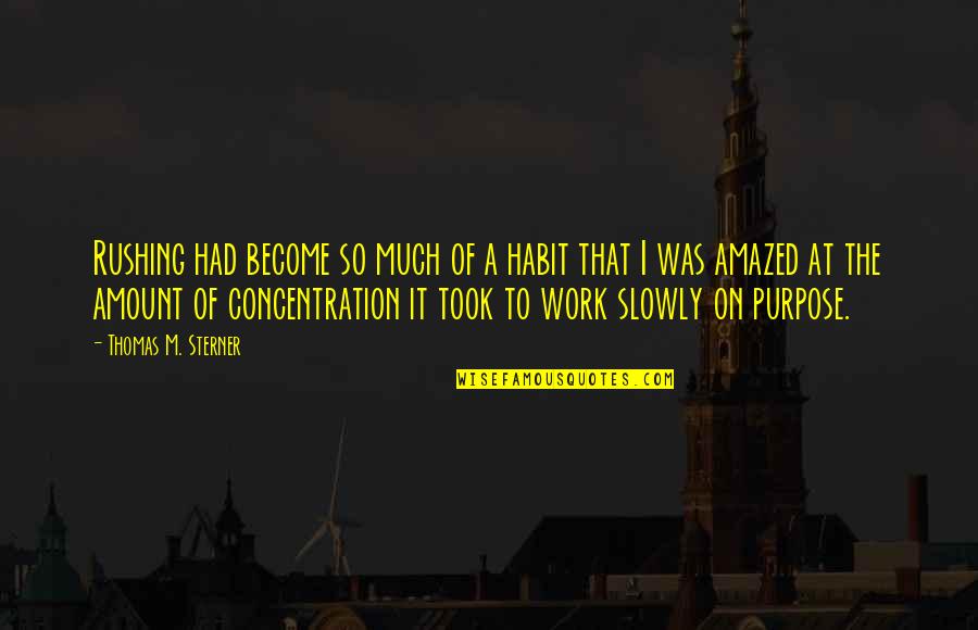 Concentration On Work Quotes By Thomas M. Sterner: Rushing had become so much of a habit