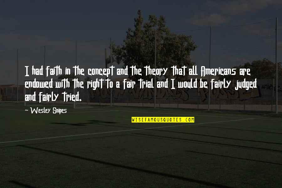 Concept Quotes By Wesley Snipes: I had faith in the concept and the