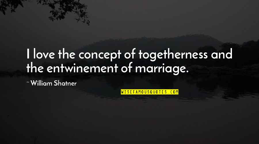 Concept The Quotes By William Shatner: I love the concept of togetherness and the