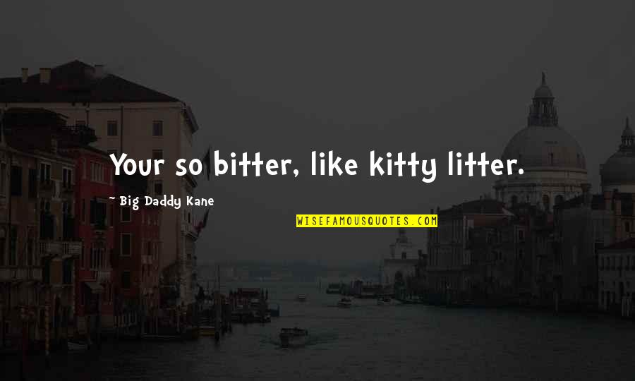 Conception A Baby Quotes By Big Daddy Kane: Your so bitter, like kitty litter.