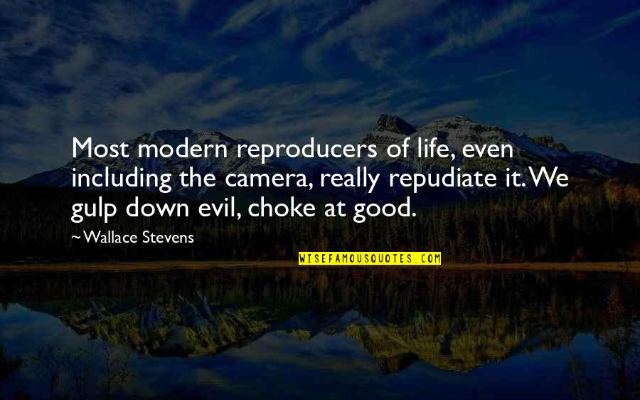 Concern For A Friend Quotes By Wallace Stevens: Most modern reproducers of life, even including the
