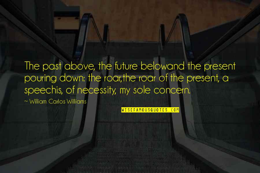Concern Quotes By William Carlos Williams: The past above, the future belowand the present