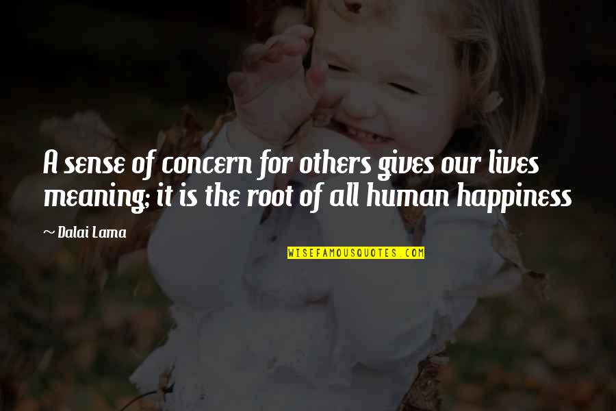 Concern To Others Quotes By Dalai Lama: A sense of concern for others gives our
