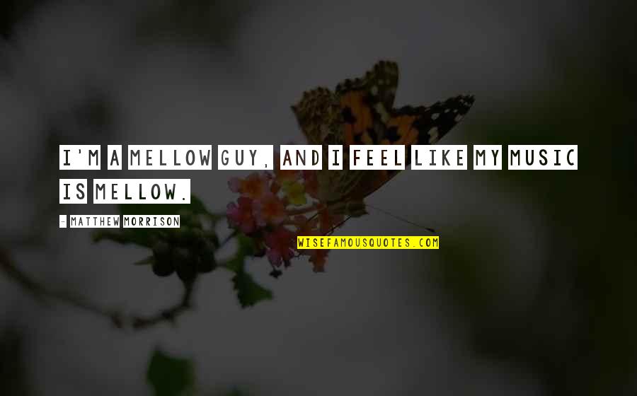 Concertina Connection Quotes By Matthew Morrison: I'm a mellow guy, and I feel like Concertina Connection Quotes By Matthew Morrison: I'm a mellow guy, and I feel like