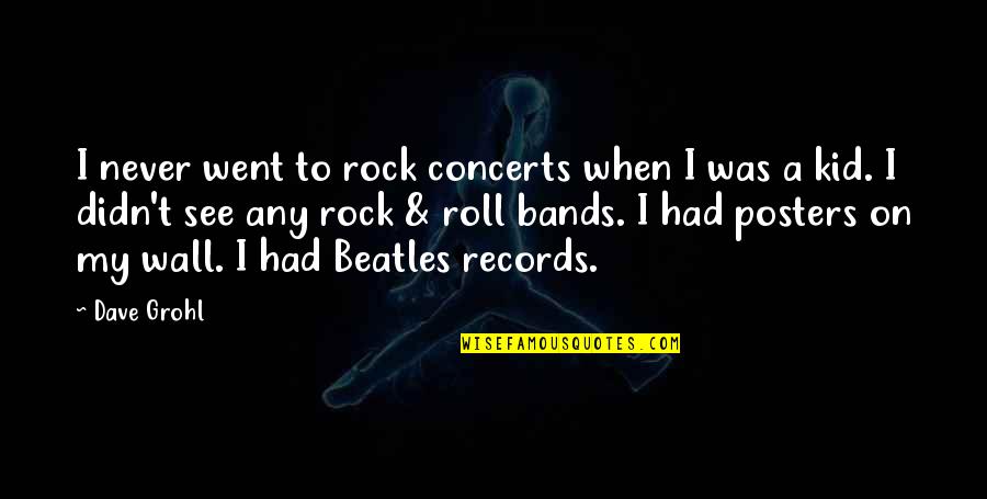 Concerts Quotes By Dave Grohl: I never went to rock concerts when I