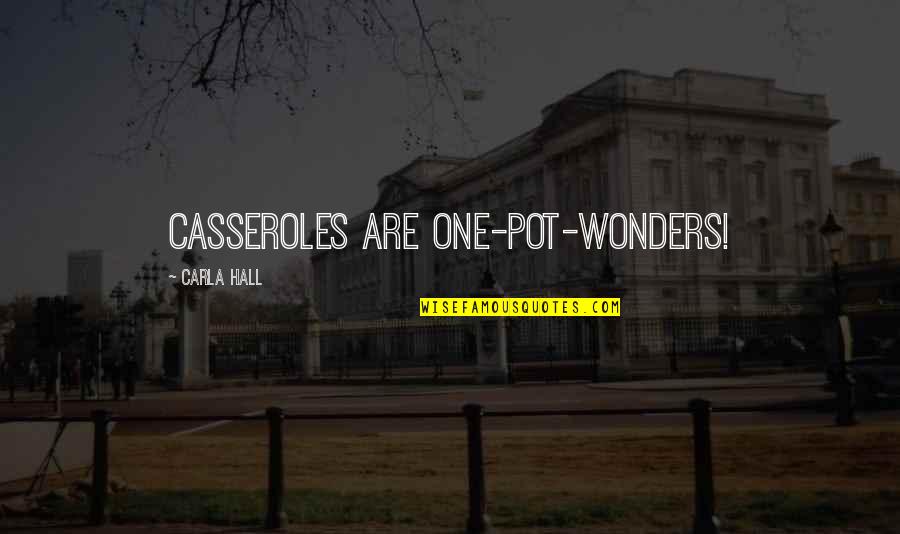 Concessionaires Or Concessioners Quotes By Carla Hall: Casseroles are one-pot-wonders!
