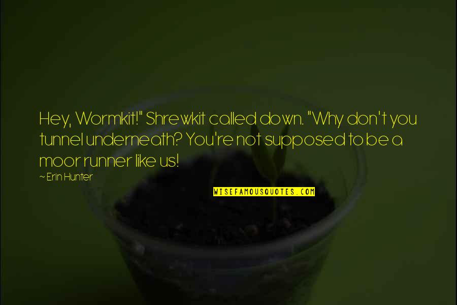 Conciencia Tranquila Quotes By Erin Hunter: Hey, Wormkit!" Shrewkit called down. "Why don't you