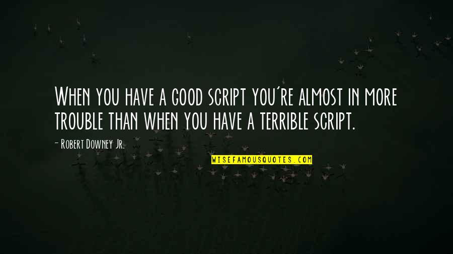 Concinnity Quotes By Robert Downey Jr.: When you have a good script you're almost