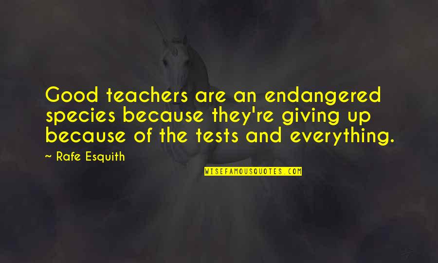 Concluding Sentences Quotes By Rafe Esquith: Good teachers are an endangered species because they're