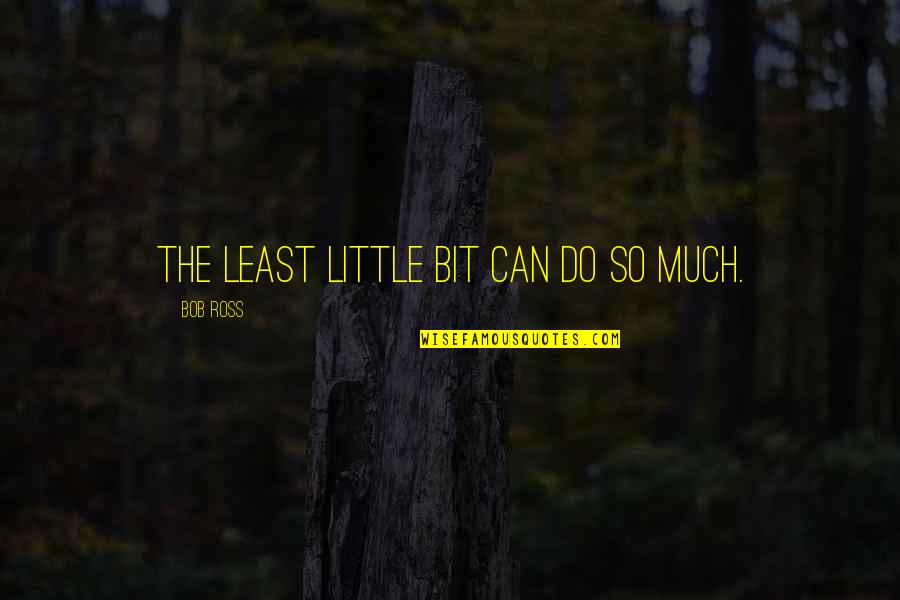 Concordantly Quotes By Bob Ross: The least little bit can do so much.