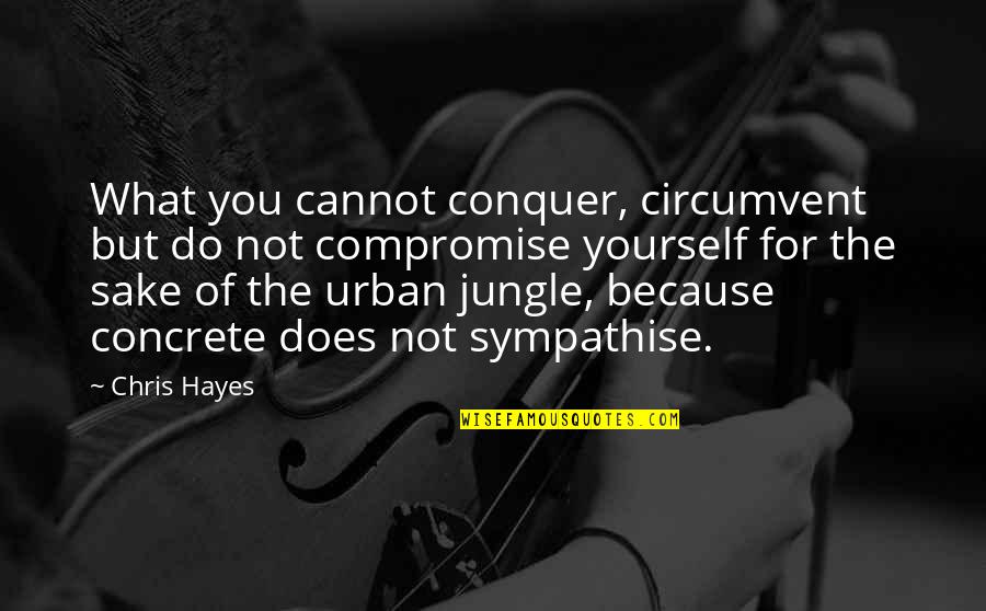 Concrete Jungle Quotes By Chris Hayes: What you cannot conquer, circumvent but do not Concrete Jungle Quotes By Chris Hayes: What you cannot conquer, circumvent but do not