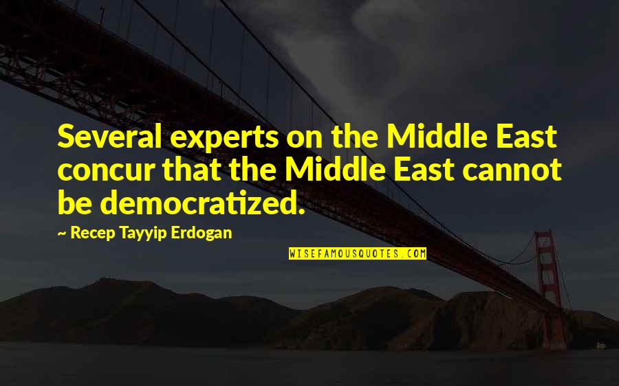 Concur Quotes By Recep Tayyip Erdogan: Several experts on the Middle East concur that