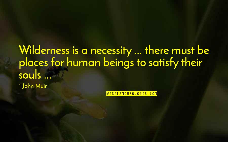 Concussions Quotes By John Muir: Wilderness is a necessity ... there must be