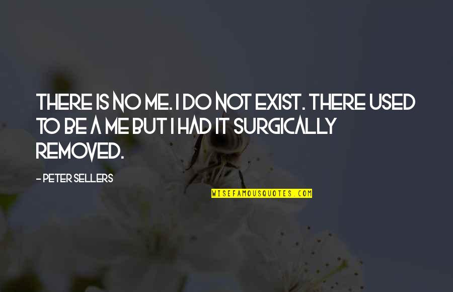 Conde Nast Quotes By Peter Sellers: There is no me. I do not exist.