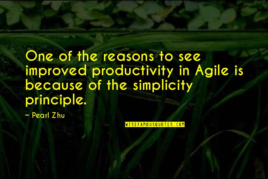 Condeiul Portaret Quotes By Pearl Zhu: One of the reasons to see improved productivity Condeiul Portaret Quotes By Pearl Zhu: One of the reasons to see improved productivity
