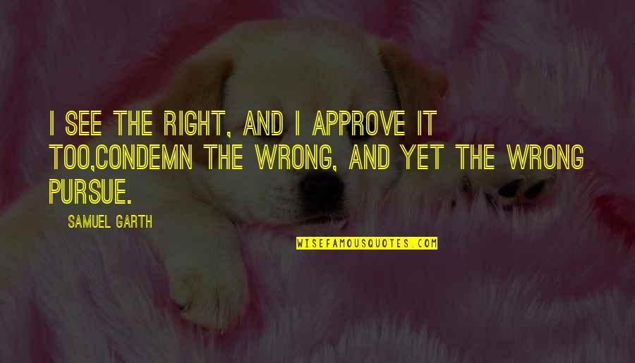 Condemn Quotes By Samuel Garth: I see the right, and I approve it