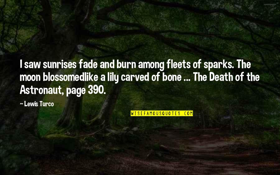 Condescendentes Quotes By Lewis Turco: I saw sunrises fade and burn among fleets