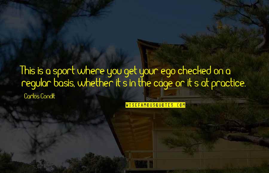 Condit Quotes By Carlos Condit: This is a sport where you get your Condit Quotes By Carlos Condit: This is a sport where you get your