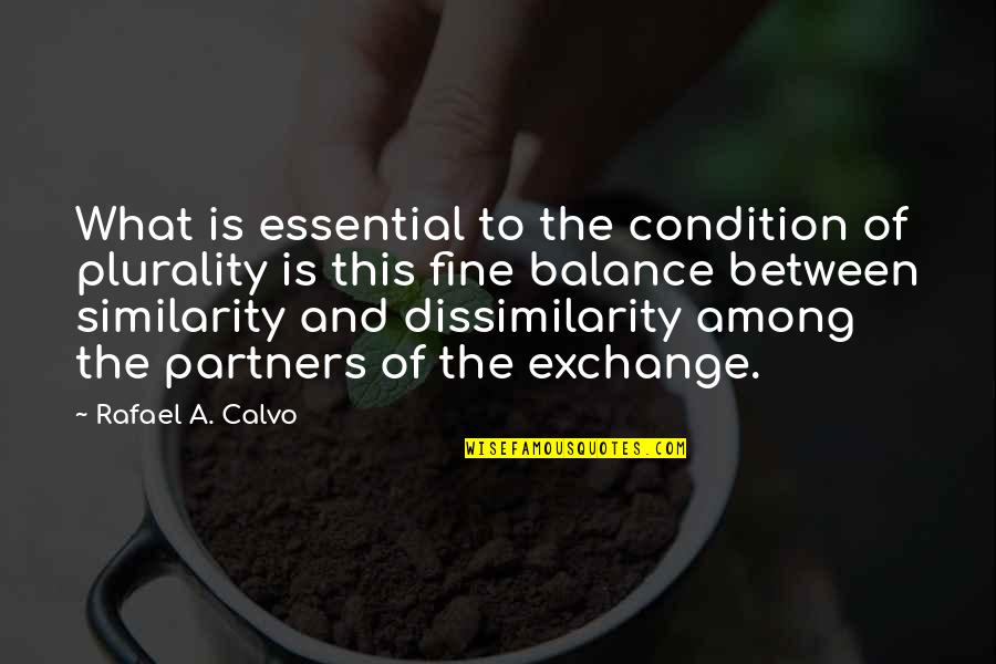 Condition Quotes By Rafael A. Calvo: What is essential to the condition of plurality