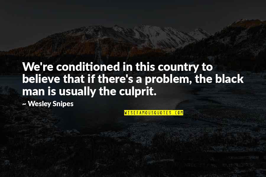Conditioned Quotes By Wesley Snipes: We're conditioned in this country to believe that
