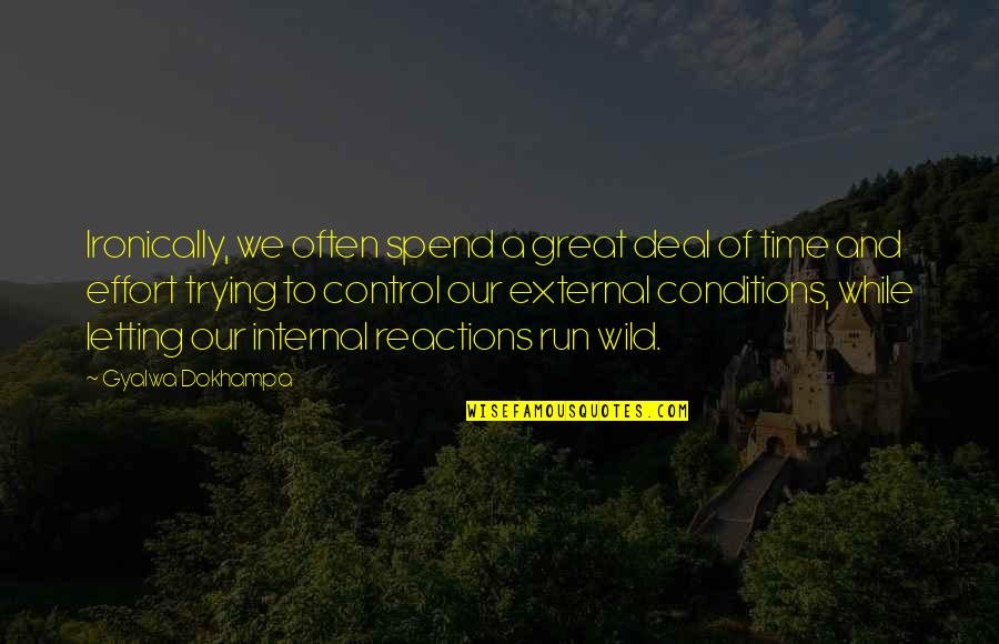 Conditions Quotes By Gyalwa Dokhampa: Ironically, we often spend a great deal of