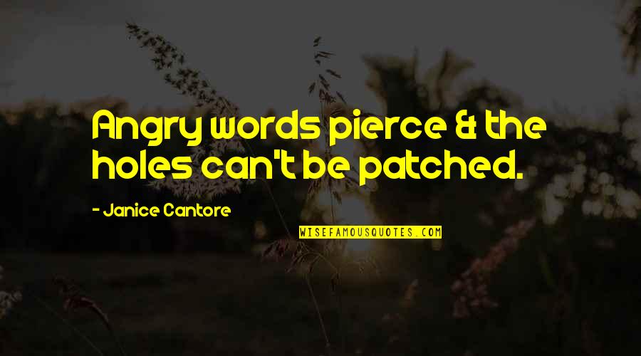 Conditon Quotes By Janice Cantore: Angry words pierce & the holes can't be