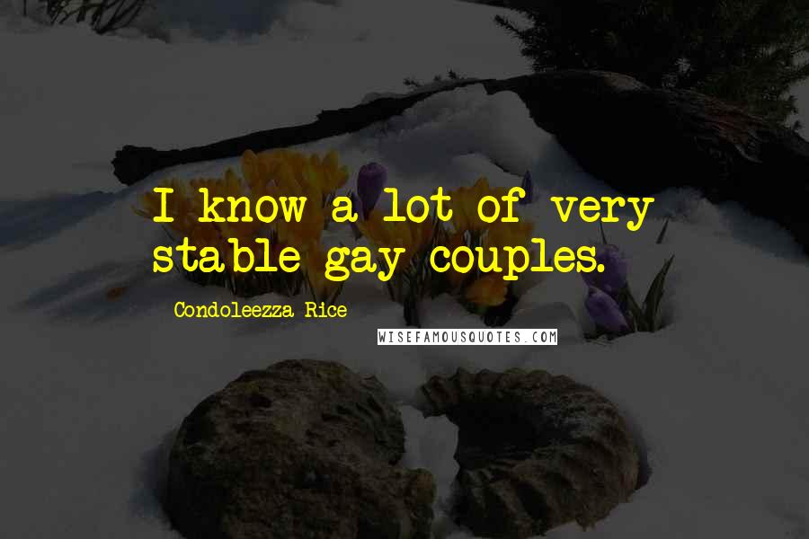 Condoleezza Rice quotes: I know a lot of very stable gay couples.