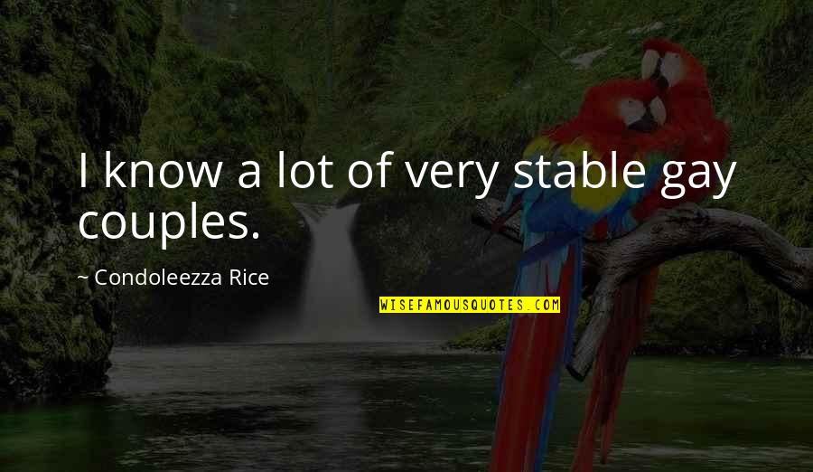 Condoleezza Rice Quotes By Condoleezza Rice: I know a lot of very stable gay