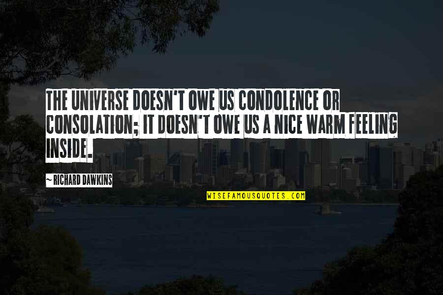 Condolence Quotes By Richard Dawkins: The universe doesn't owe us condolence or consolation;