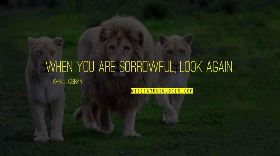 Condolences Quotes By Khalil Gibran: When you are sorrowful, look again.