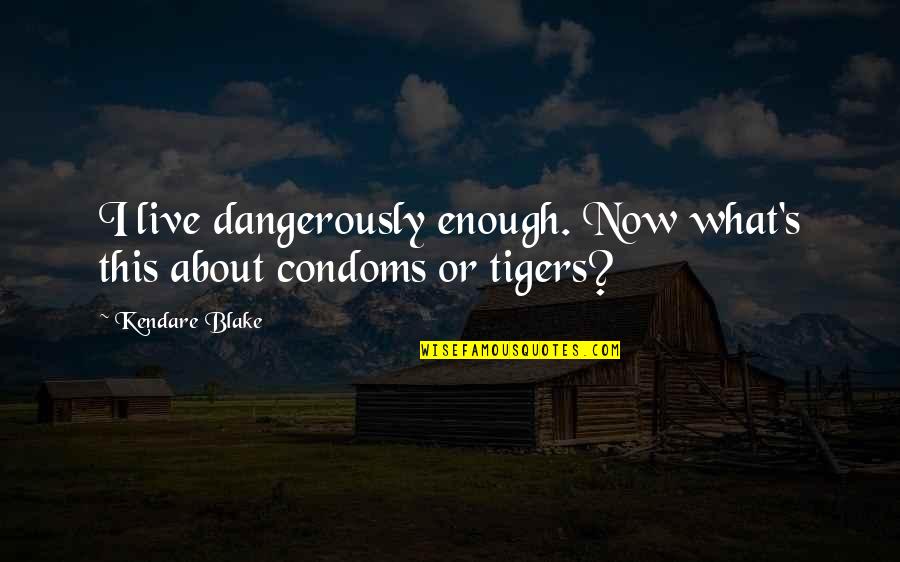 Condoms Quotes By Kendare Blake: I live dangerously enough. Now what's this about