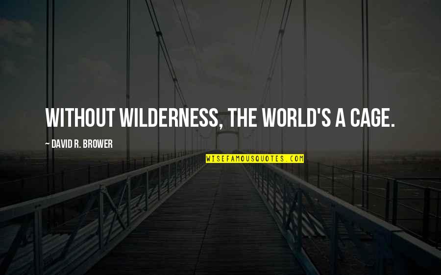 Condorcet Paradox Quotes By David R. Brower: Without wilderness, the world's a cage.