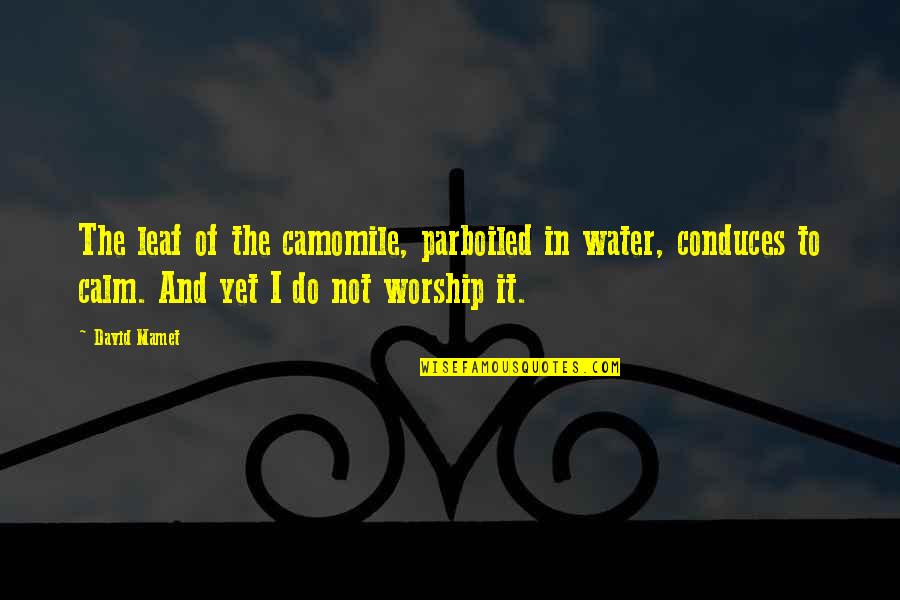 Conduces Quotes By David Mamet: The leaf of the camomile, parboiled in water,