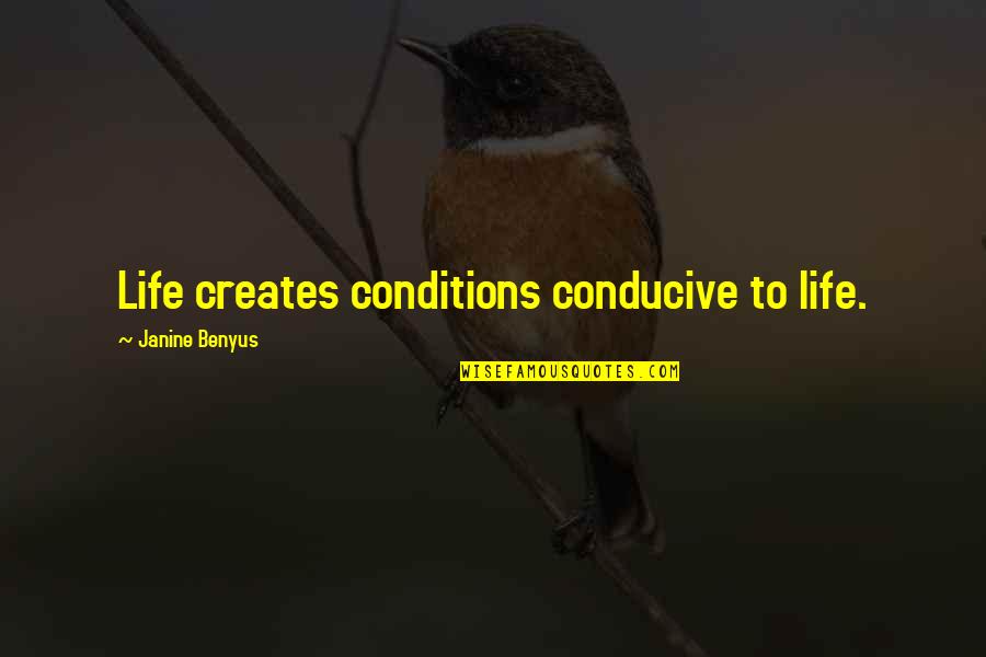 Conducive Quotes By Janine Benyus: Life creates conditions conducive to life.