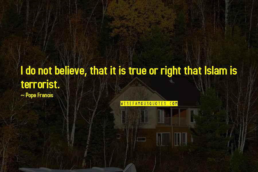 Conella O Quotes By Pope Francis: I do not believe, that it is true