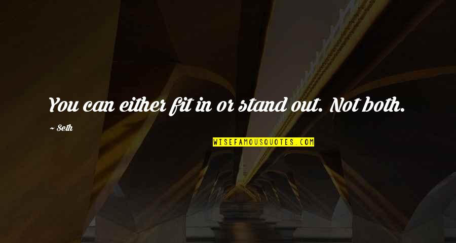 Confederations Quotes By Seth: You can either fit in or stand out.