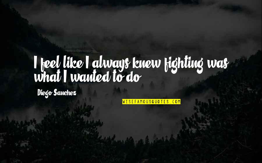 Conferencias Matutinas Quotes By Diego Sanchez: I feel like I always knew fighting was Conferencias Matutinas Quotes By Diego Sanchez: I feel like I always knew fighting was