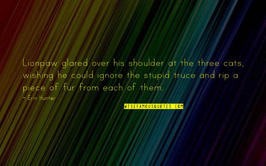 Confermare Contrario Quotes By Erin Hunter: Lionpaw glared over his shoulder at the three Confermare Contrario Quotes By Erin Hunter: Lionpaw glared over his shoulder at the three