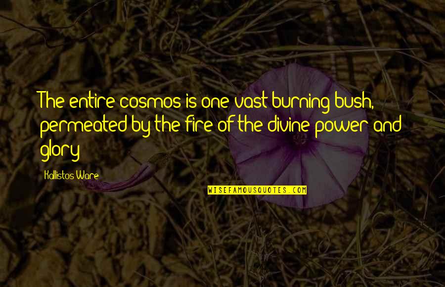 Confesseth Quotes By Kallistos Ware: The entire cosmos is one vast burning bush, Confesseth Quotes By Kallistos Ware: The entire cosmos is one vast burning bush,