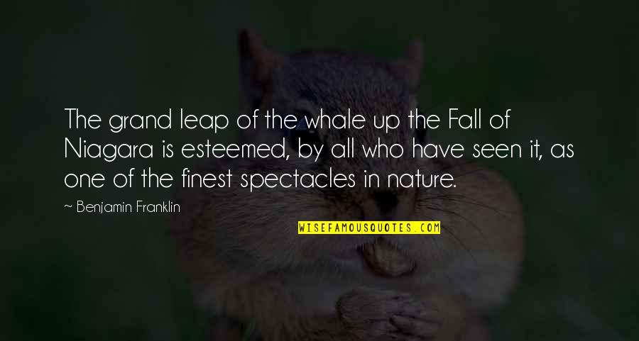 Confession Crush Quotes By Benjamin Franklin: The grand leap of the whale up the Confession Crush Quotes By Benjamin Franklin: The grand leap of the whale up the