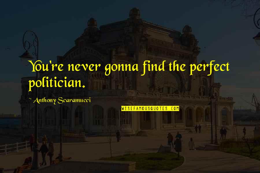 Confessionals In Catholic Churches Quotes By Anthony Scaramucci: You're never gonna find the perfect politician. Confessionals In Catholic Churches Quotes By Anthony Scaramucci: You're never gonna find the perfect politician.