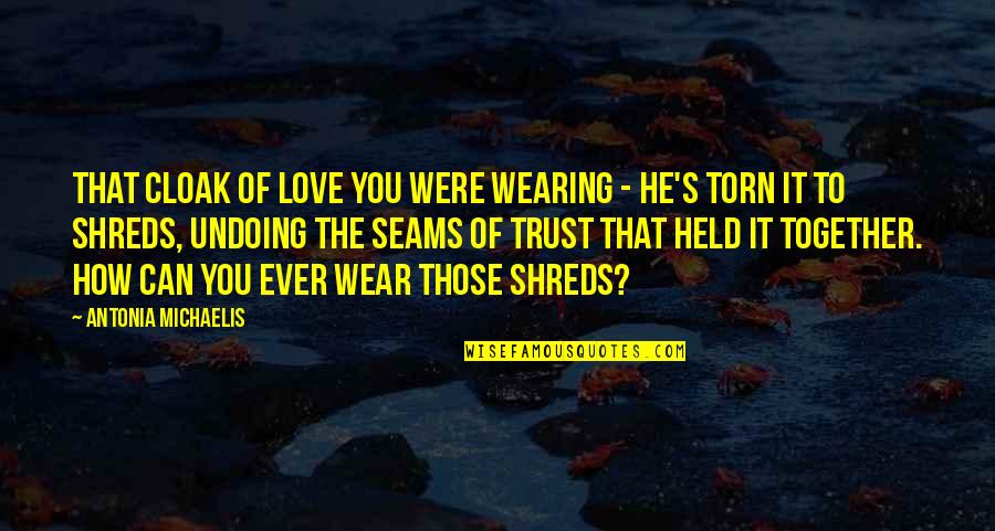 Confesssion Quotes By Antonia Michaelis: That cloak of love you were wearing -