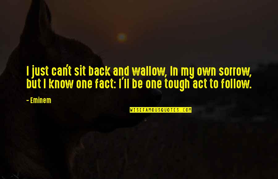 Confi Quotes By Eminem: I just can't sit back and wallow, In