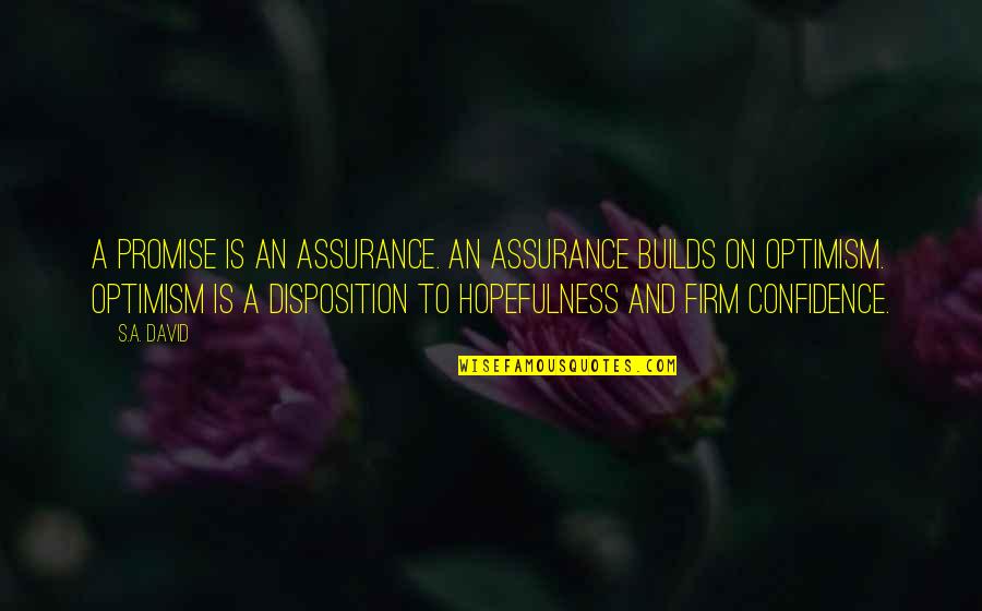 Confidence And Optimism Quotes By S.A. David: A promise is an assurance. An assurance builds