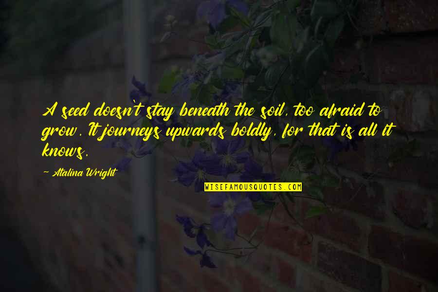 Confidence Boosting Sports Quotes By Atalina Wright: A seed doesn't stay beneath the soil, too