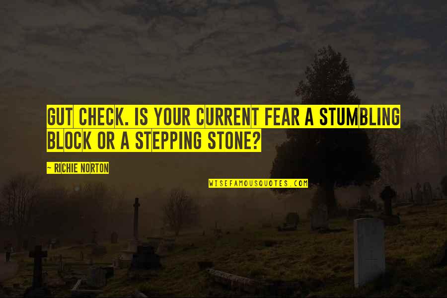 Confidence Success Quotes By Richie Norton: Gut check. Is your current fear a stumbling